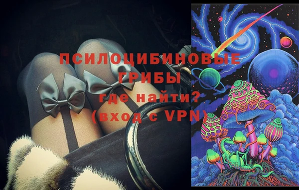 дживик Абаза