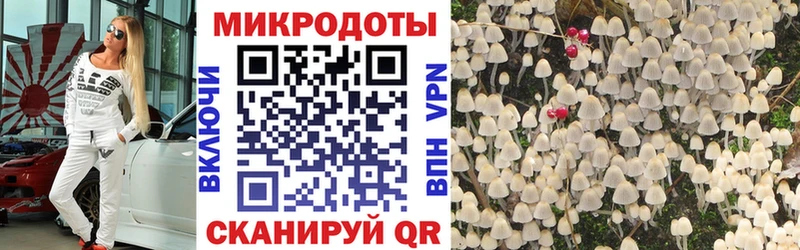 как найти закладки  Духовщина  Псилоцибиновые грибы мухоморы 