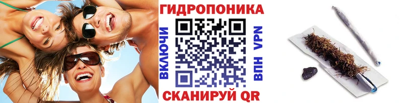 Бошки Шишки конопля  наркошоп  Духовщина 